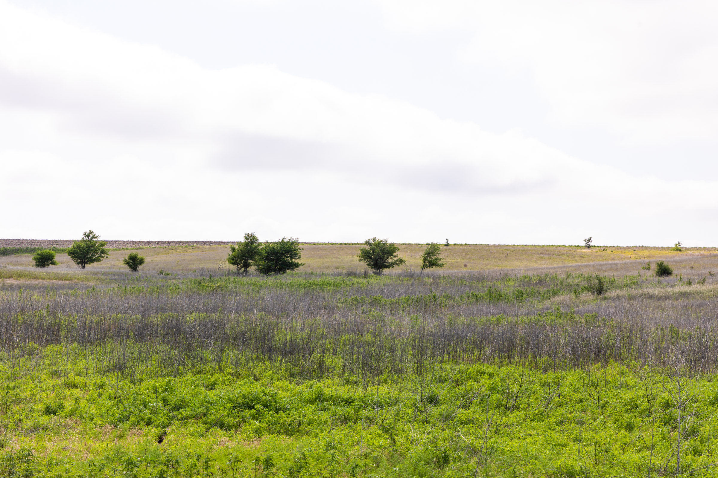 Tract 10 at Crandalls Corner in Graham County, Kansas
