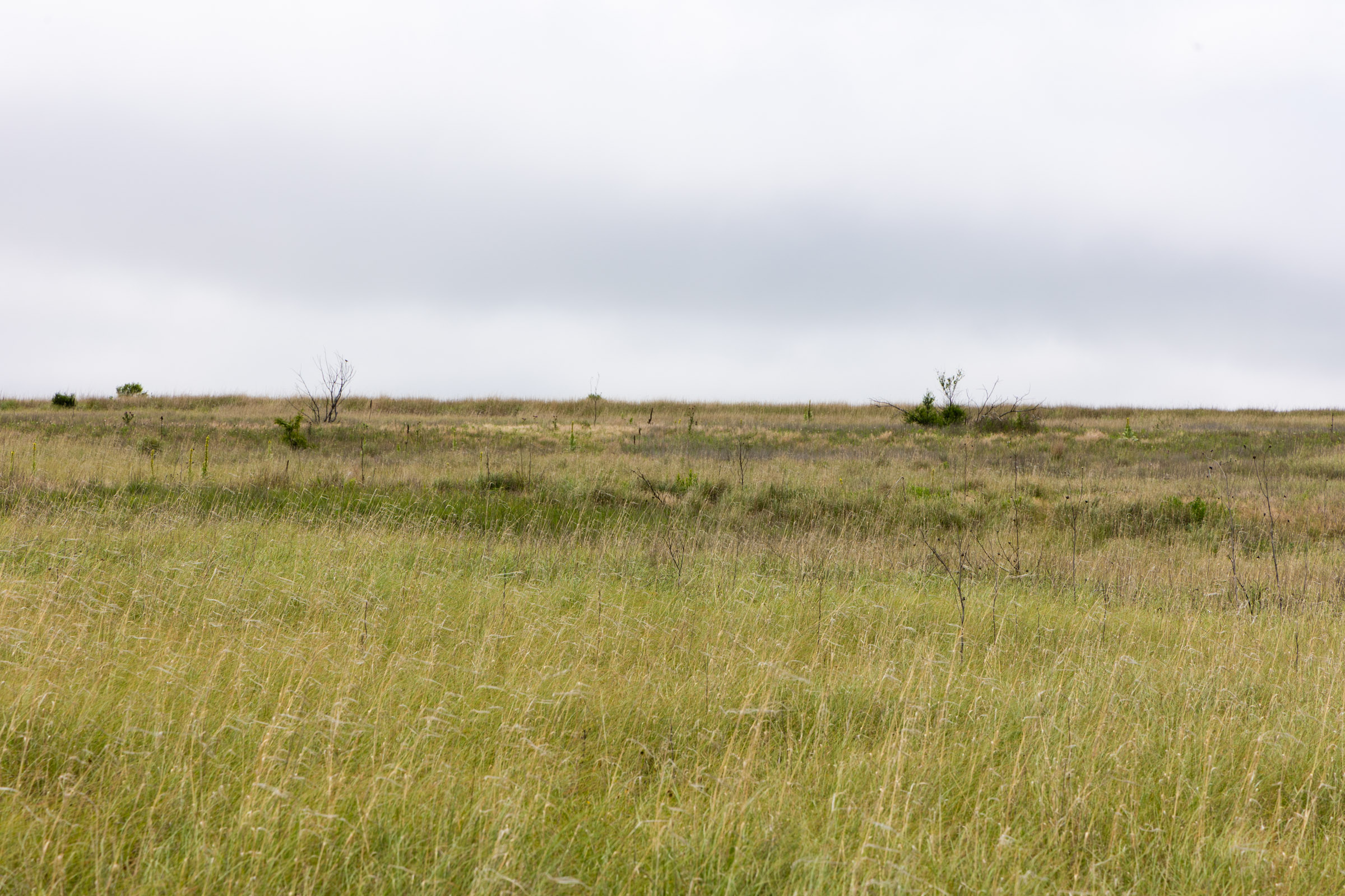 Tract 12 at Crandalls Corner in Graham County, Kansas