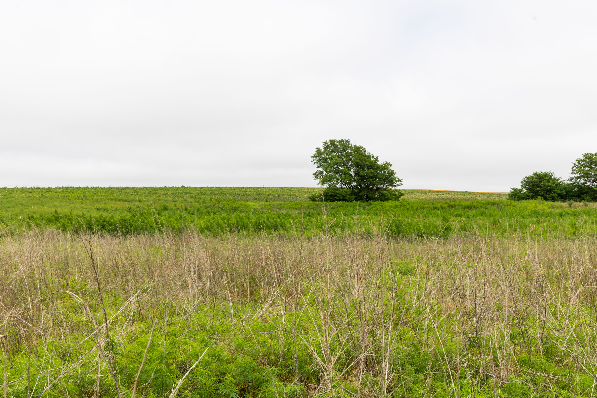 Tract 14 at Crandalls Corner in Graham County, Kansas