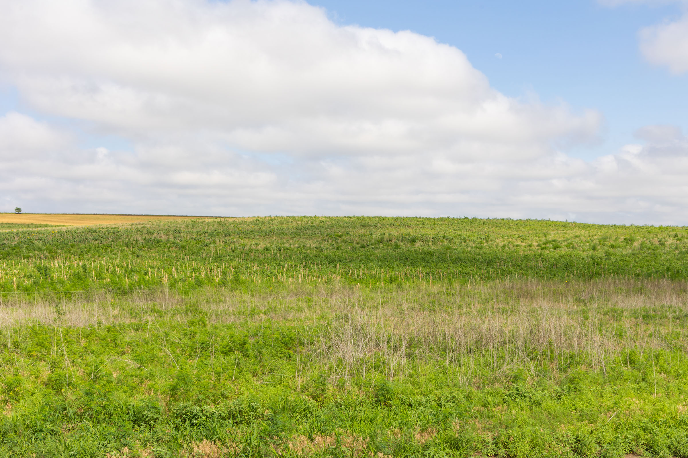 Tract 17 at Crandalls Corner in Graham County, Kansas
