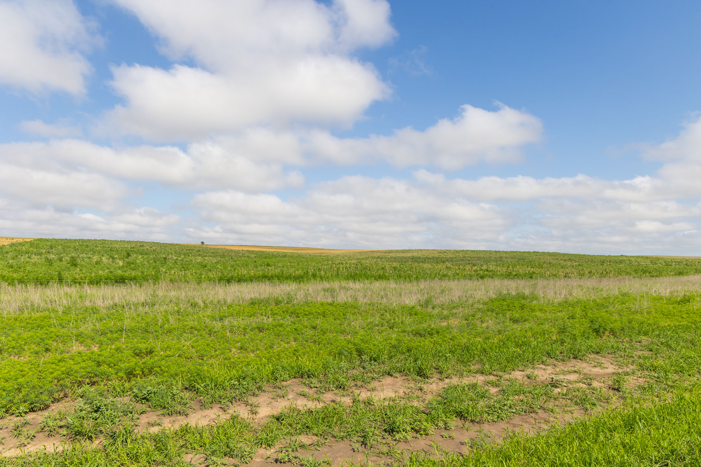 Tract 18 at Crandalls Corner in Graham County, Kansas