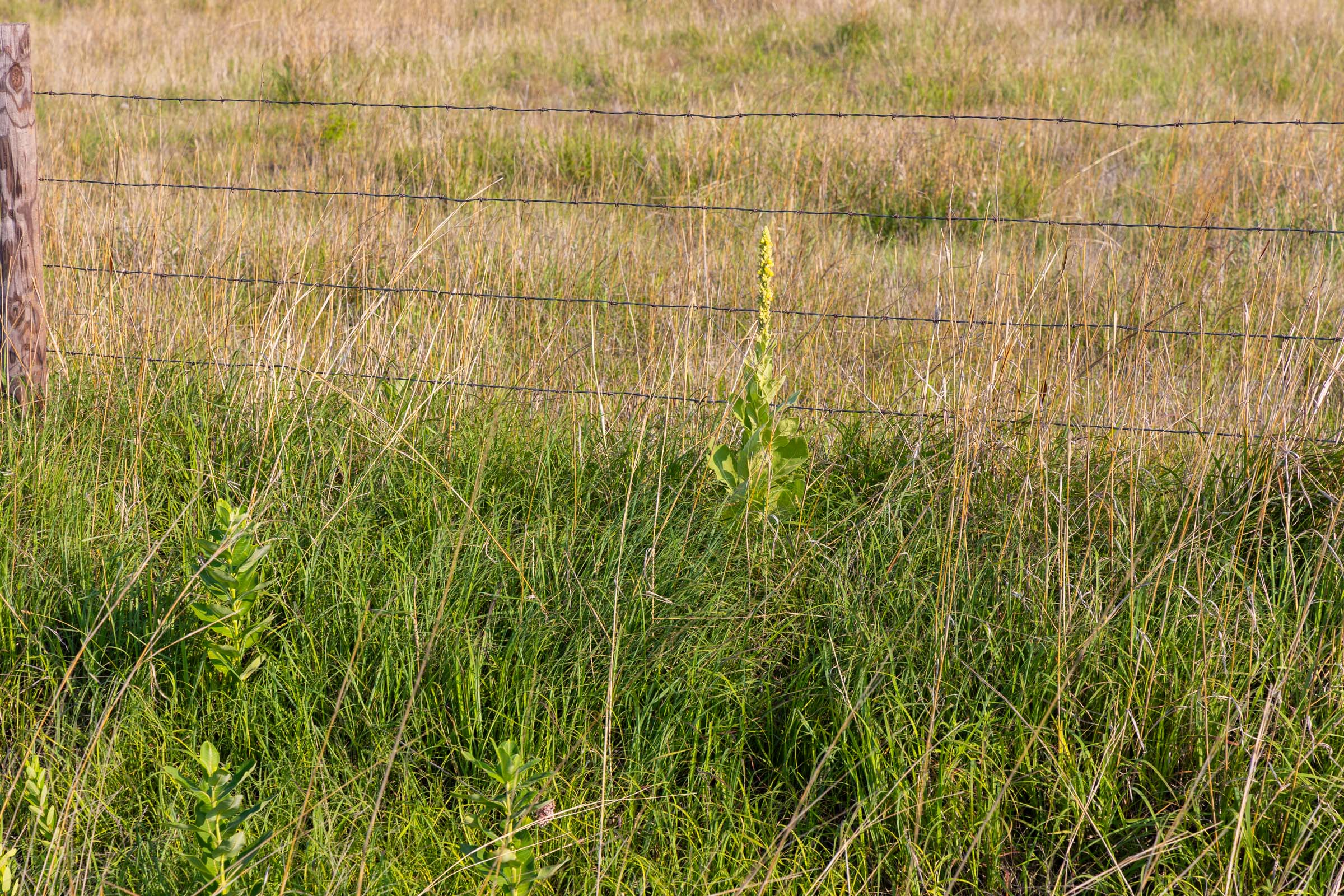 Tract 2 at Crandalls Corner in Graham County, Kansas