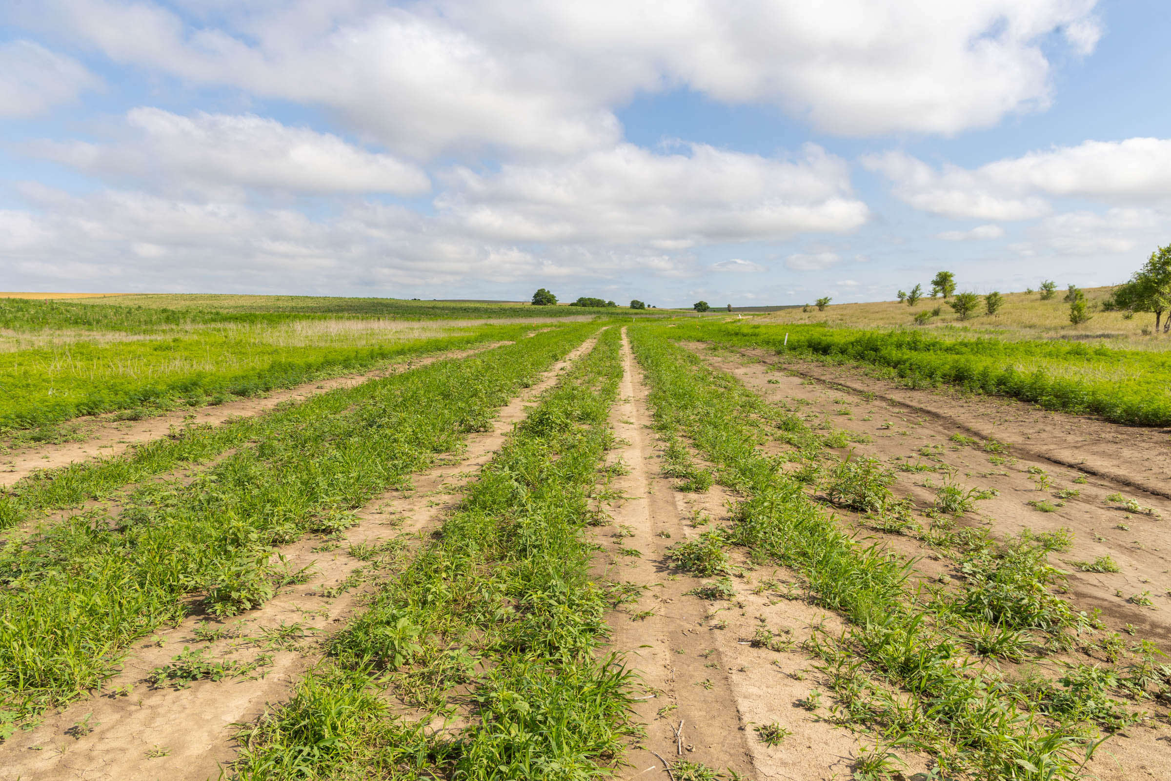 Tract 5 at Crandalls Corner in Graham County, Kansas