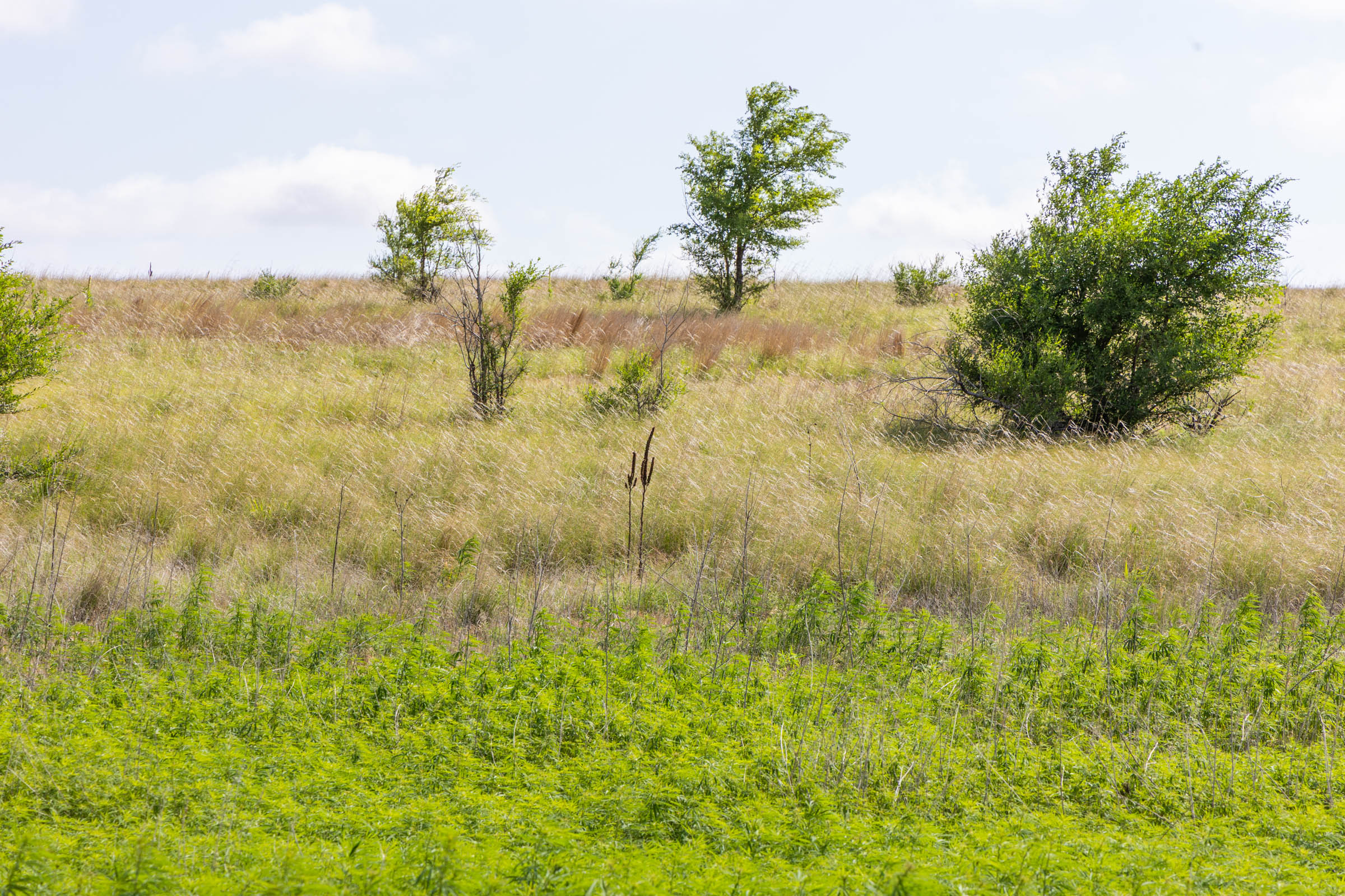 Tract 7 at Crandalls Corner in Graham County, Kansas